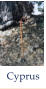 Cyprus